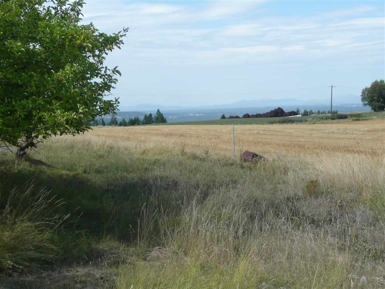 17927 North Greenbluff Road Colbert, WA 99005 - Photo 15 of 18