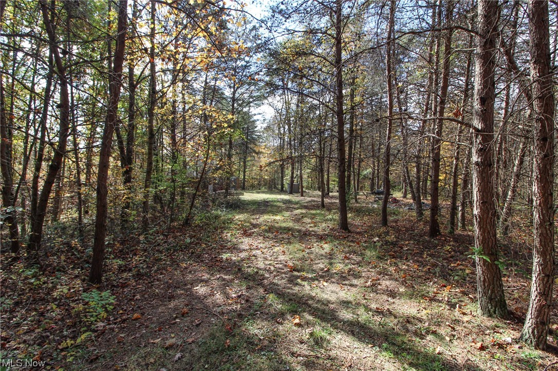 0 Pleasant Ridge Road Graysville, OH 45734 - Photo 3 of 32 View of nature