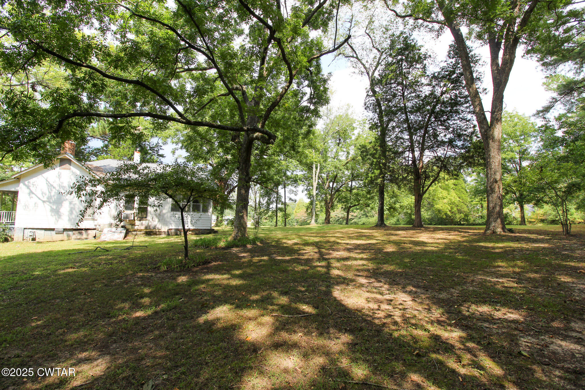 1352 Whitehall Street Jackson, TN 38301 - Photo 23 of 34 a view of a trees in a yard