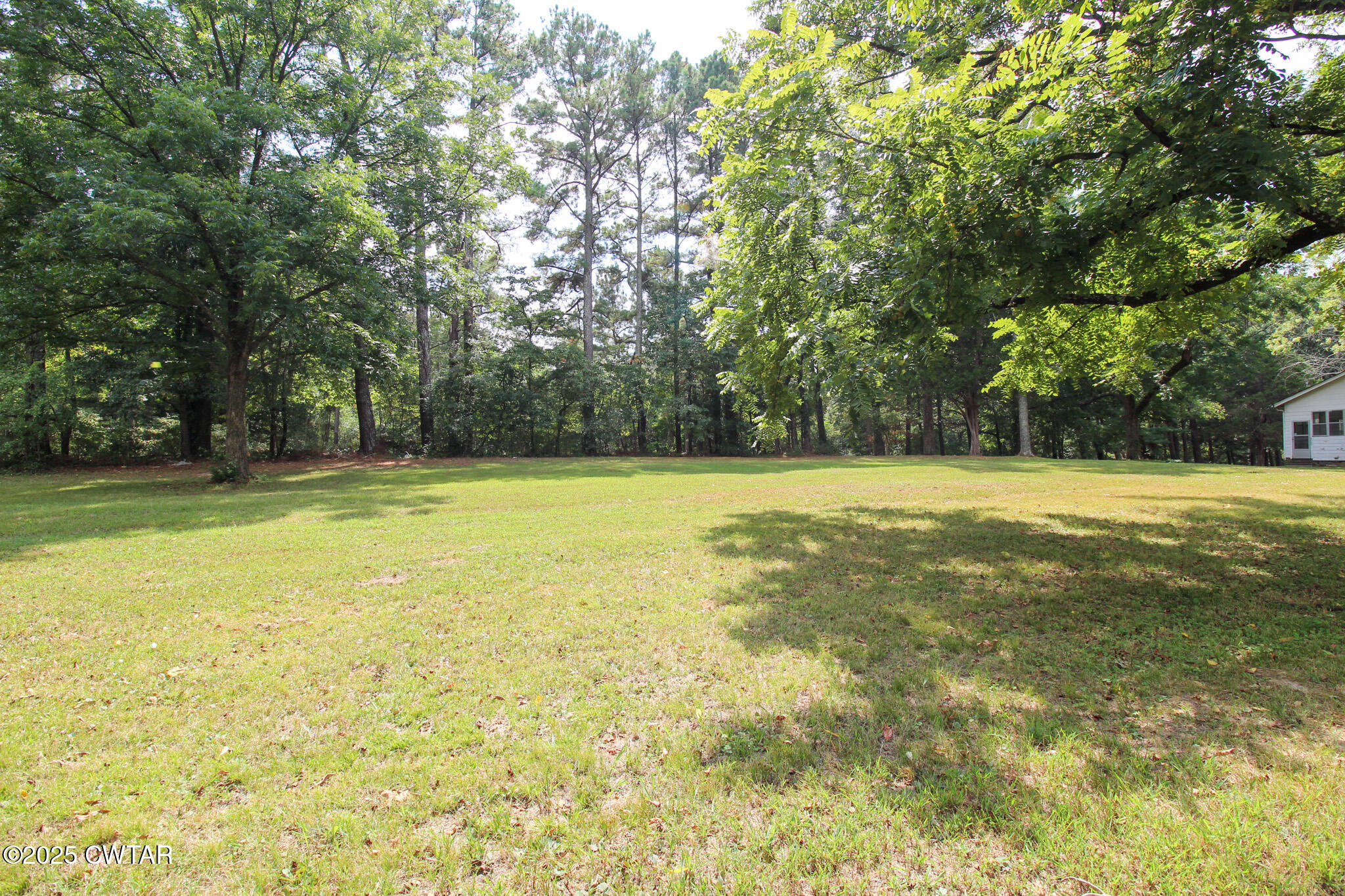 1352 Whitehall Street Jackson, TN 38301 - Photo 25 of 34 a view of a swimming pool and trees in the background