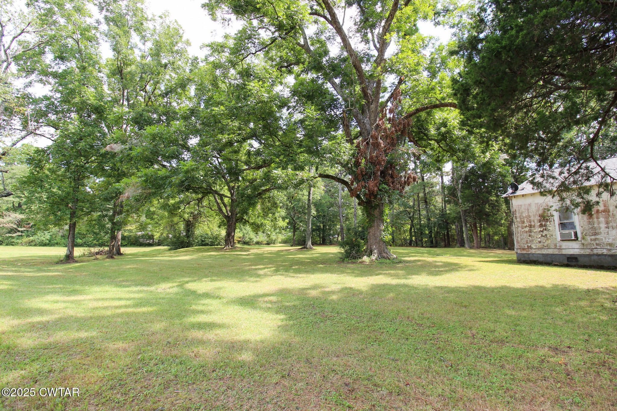 1352 Whitehall Street Jackson, TN 38301 - Photo 27 of 34 a yard with trees in the background