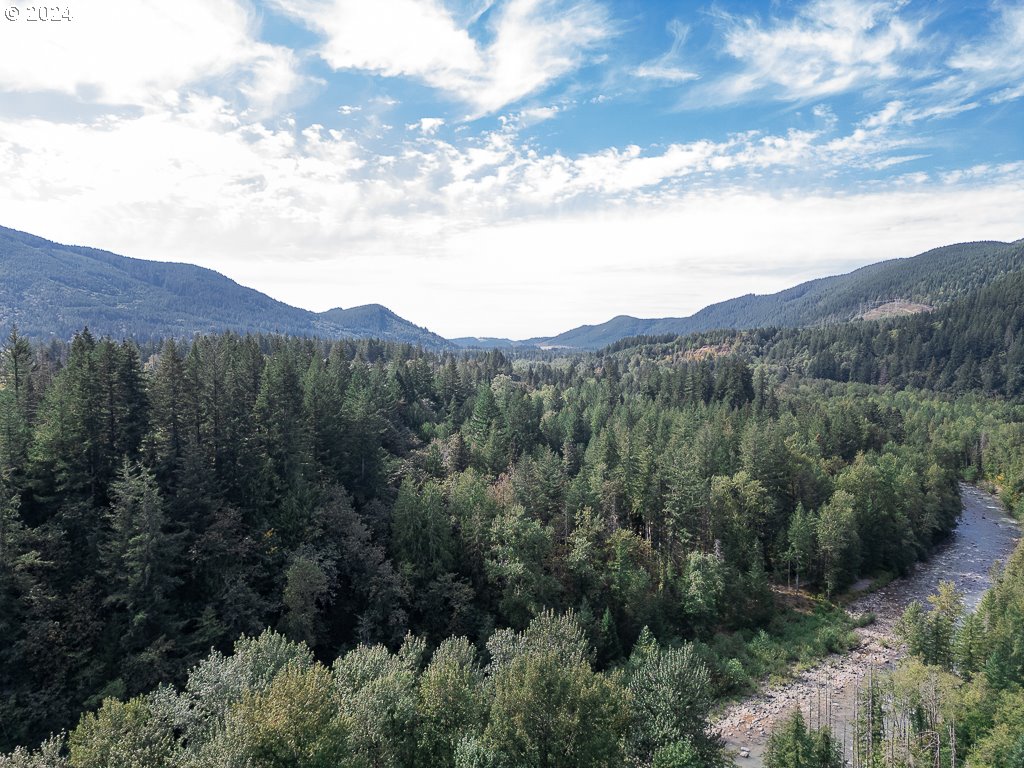 64089 East Relton Road Rhododendron, OR 97049 - Photo 45 of 48