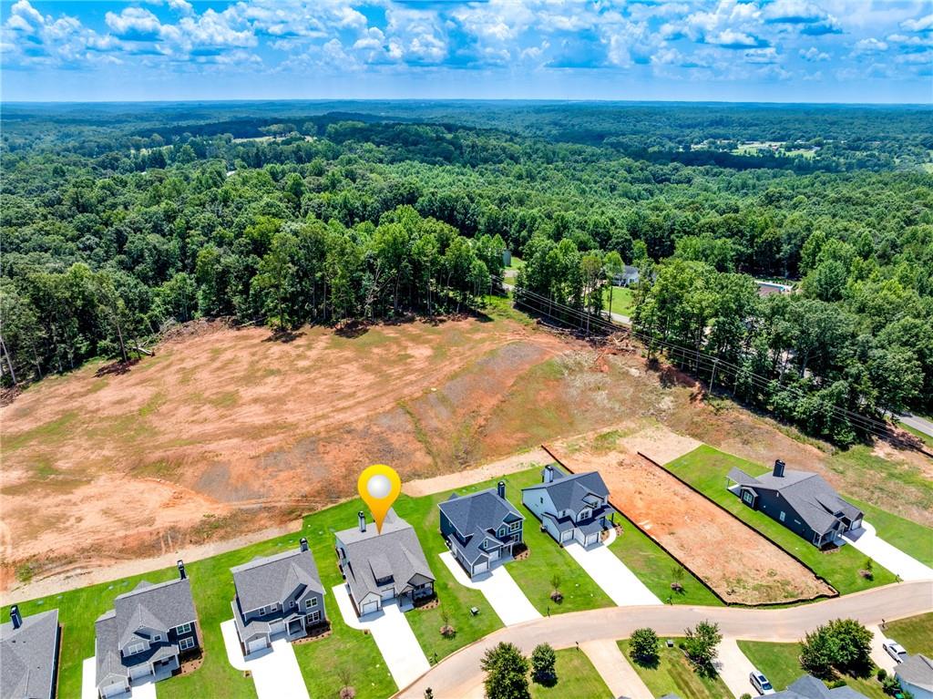 118 Classic Overlook Homer, GA 30547 - Photo 39 of 42 a view of yard with green space