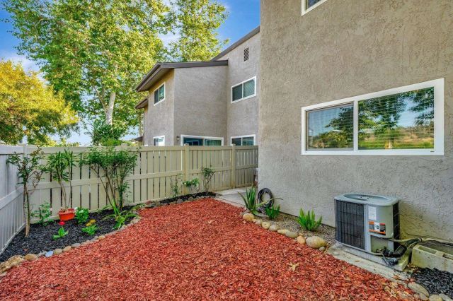a backyard of a house with plants and tree