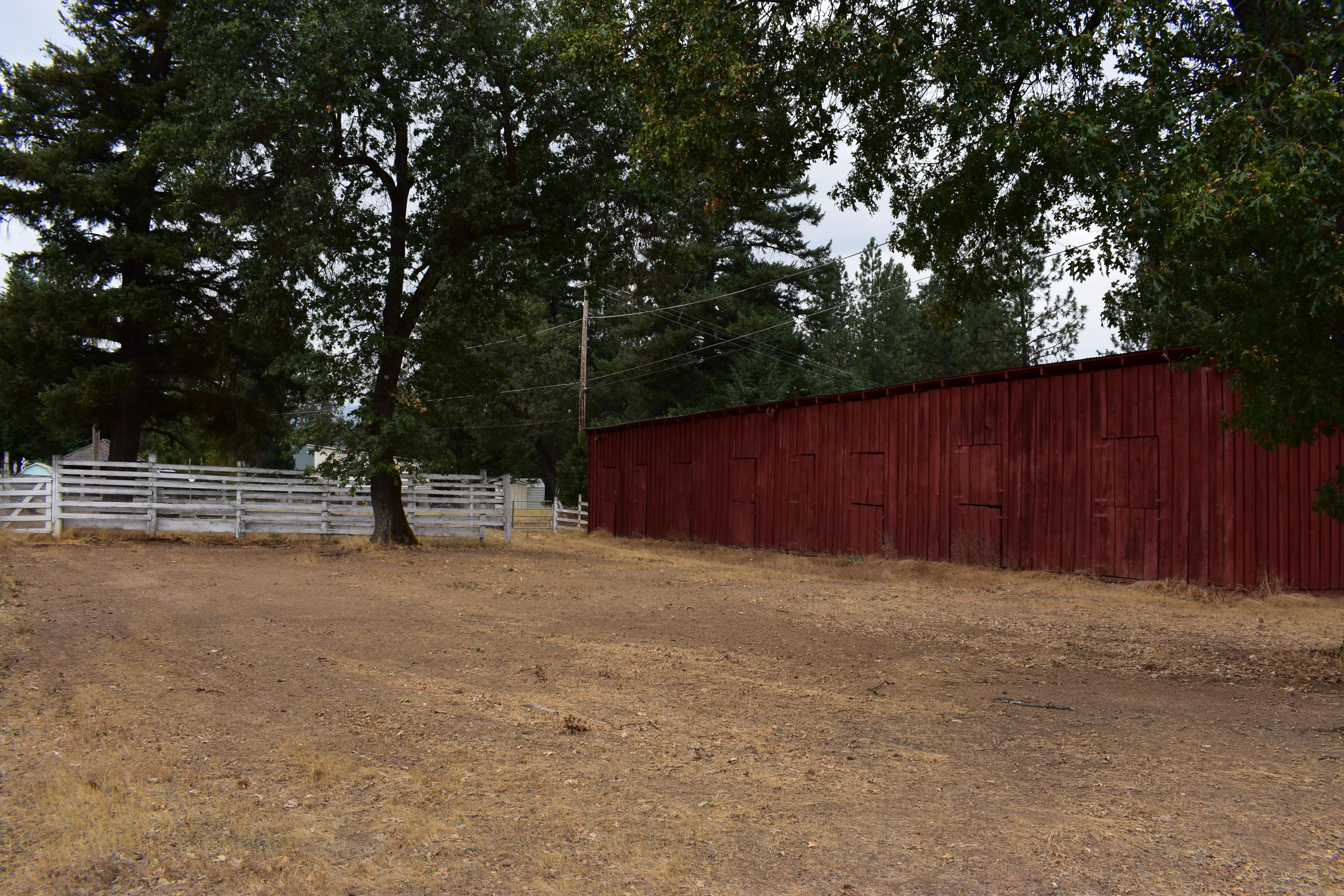 1481 Morgan Hill Road Hayfork, CA 96041 - Photo 8 of 24 DSC_0100