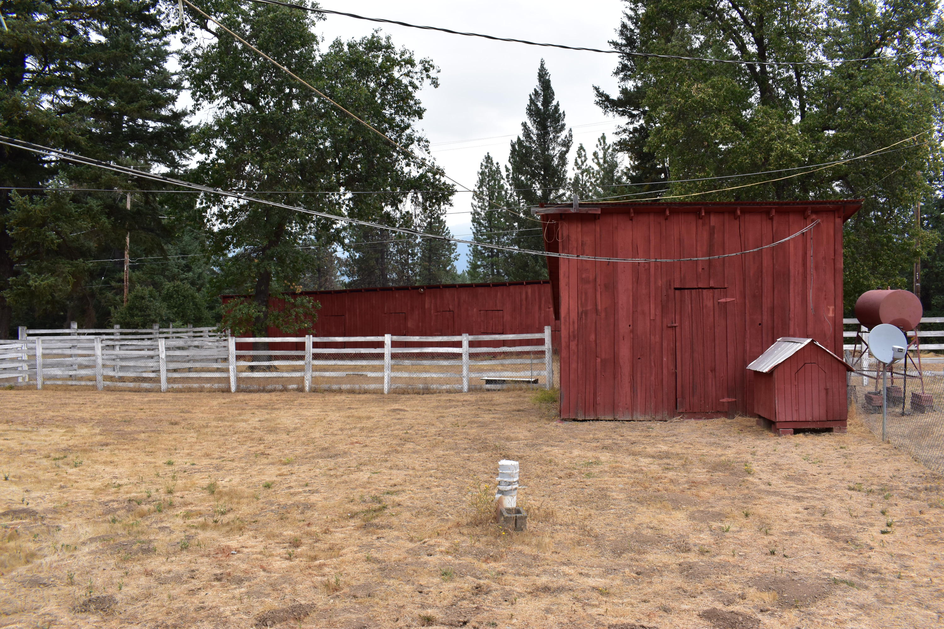 1481 Morgan Hill Road Hayfork, CA 96041 - Photo 9 of 24 DSC_0116