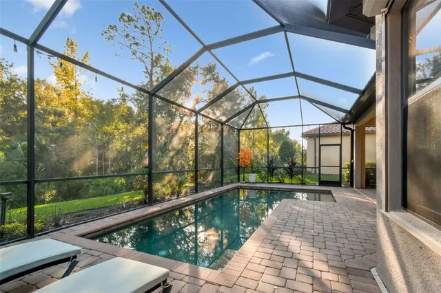 a view of backyard with potted plants and a large tree