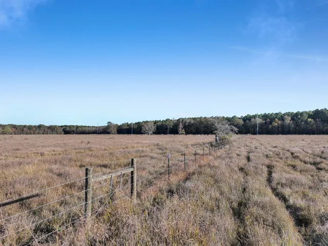 a view of a dry yard with trees