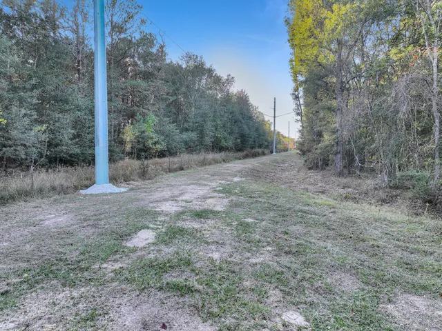 a view of a yard with a tree