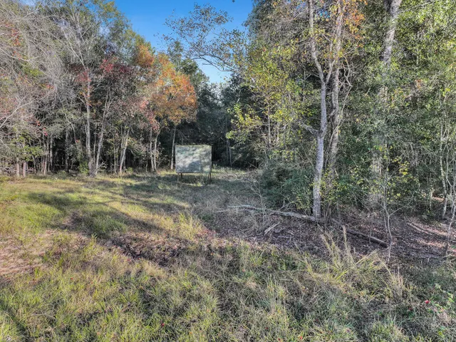a view of an ocean beach