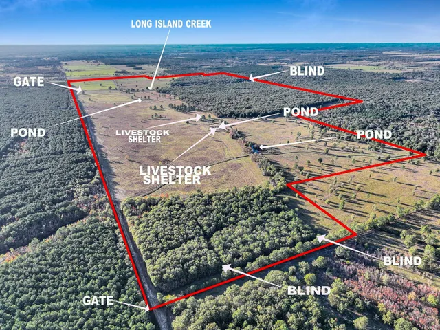 a view of a tennis court