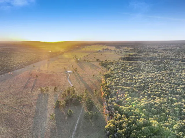 a big yard with lots of green space and house view