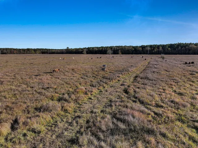 a view of lake with sunset
