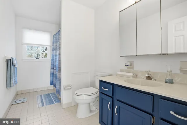 a bathroom with a sink toilet and vanity