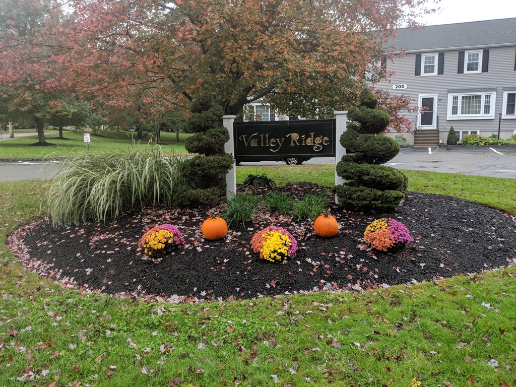 203 Irving Road, Unit 203 Randolph, MA 02368 - Photo 1 of 14 Gallery Image 1