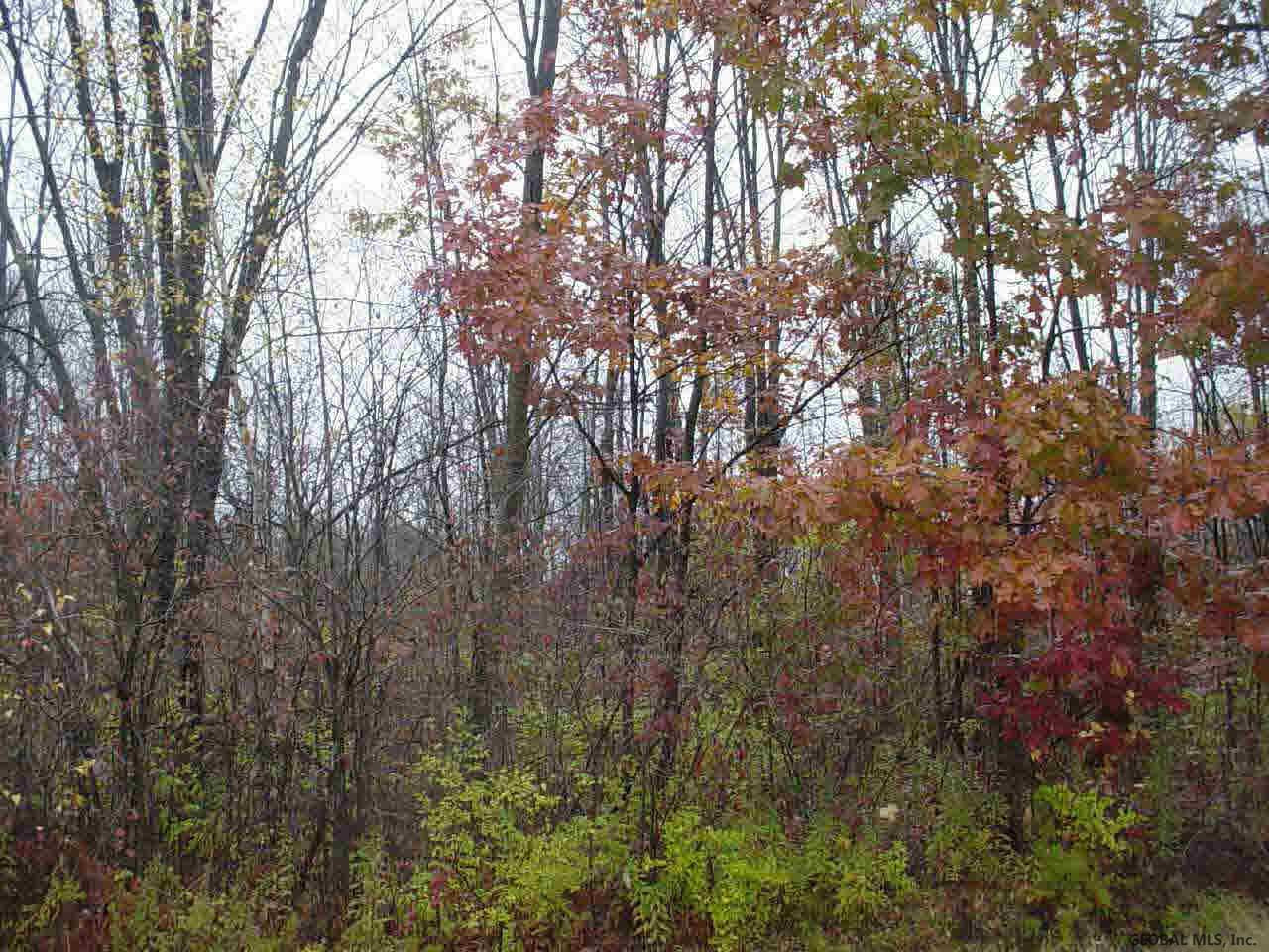 Hatchery Road Gansevoort, NY 12831 - Photo 1 of 1 Photo 1