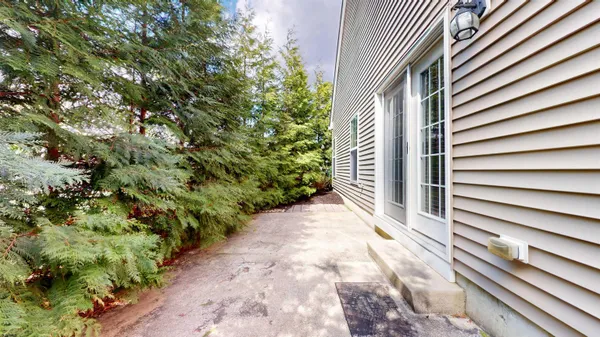 a view of a back yard