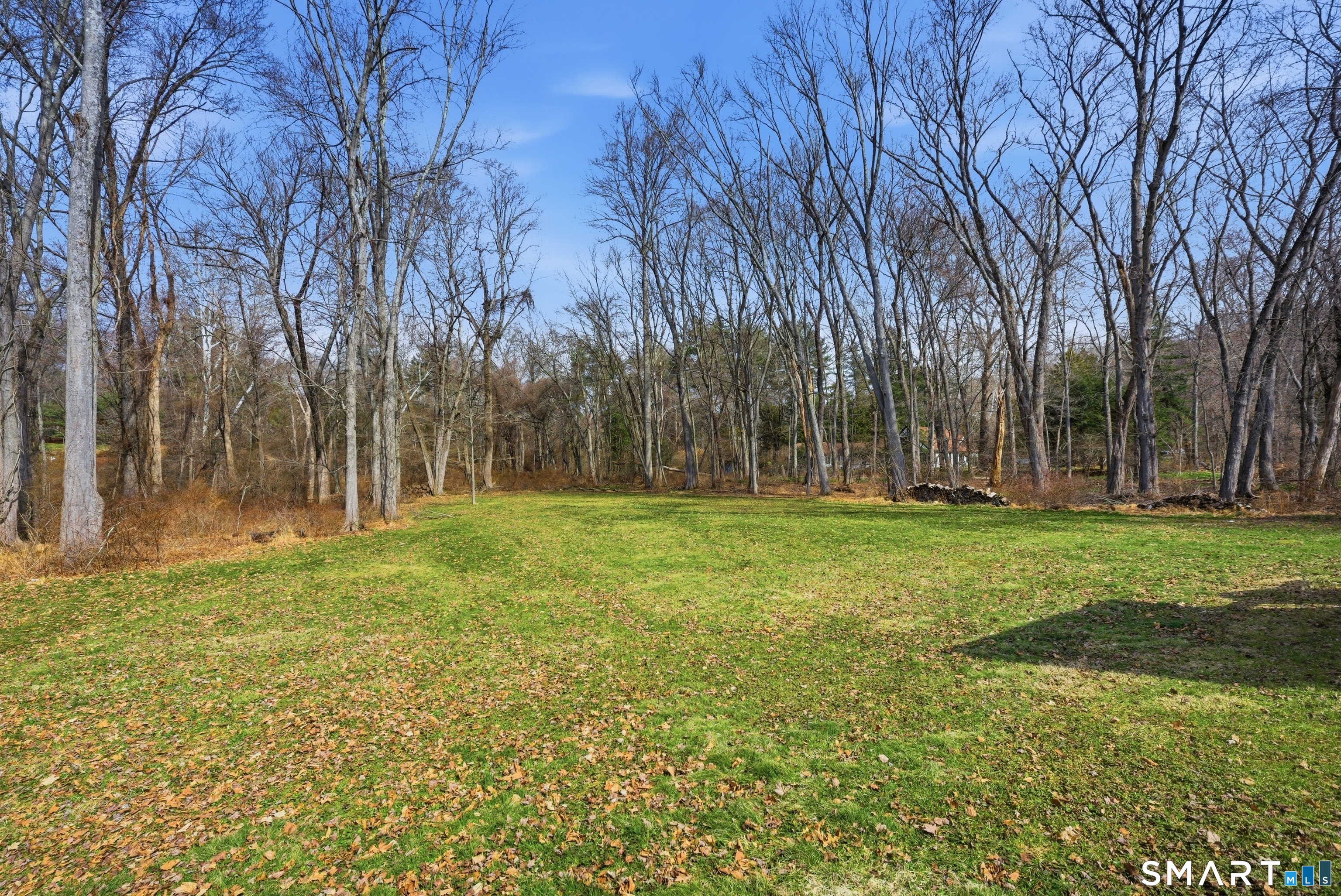 96 Toll House Lane Fairfield, CT 06825 - Photo 25 of 29 a view of a park with large trees