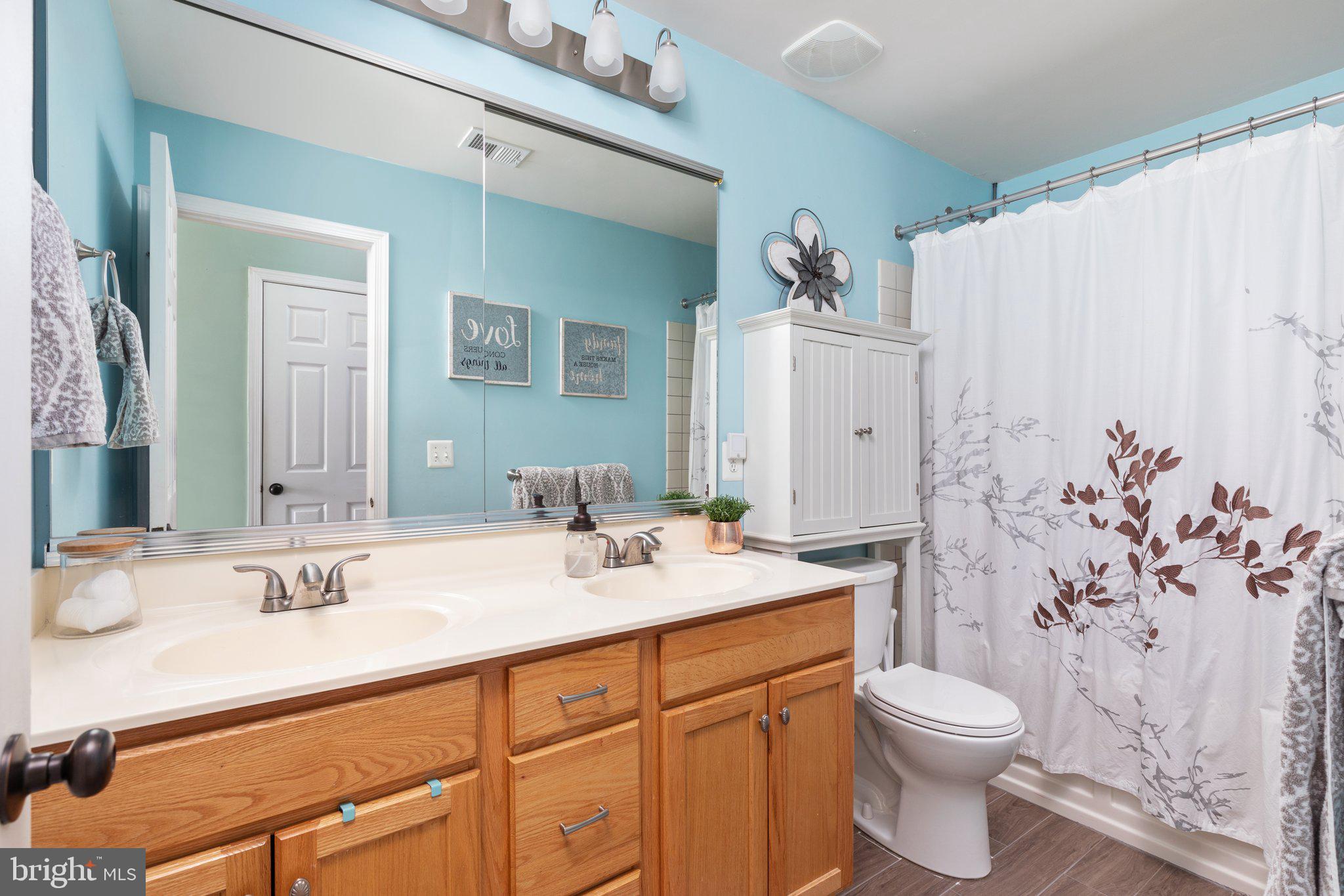 42606 Pine Forest Drive Chantilly, VA 20152 - Photo 15 of 24 Primary Bathroom