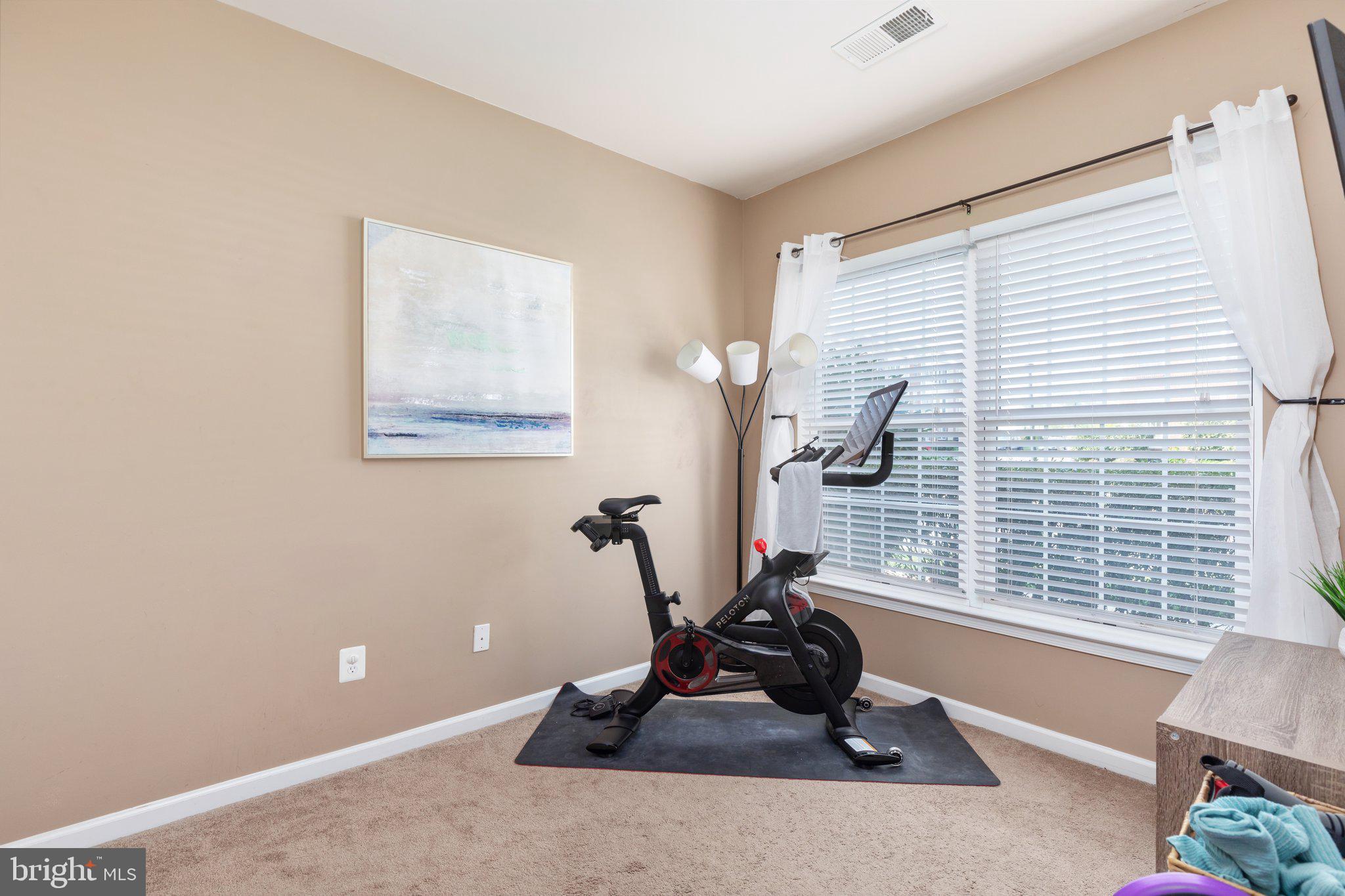 42606 Pine Forest Drive Chantilly, VA 20152 - Photo 20 of 24 Lower Level Bedroom/Office