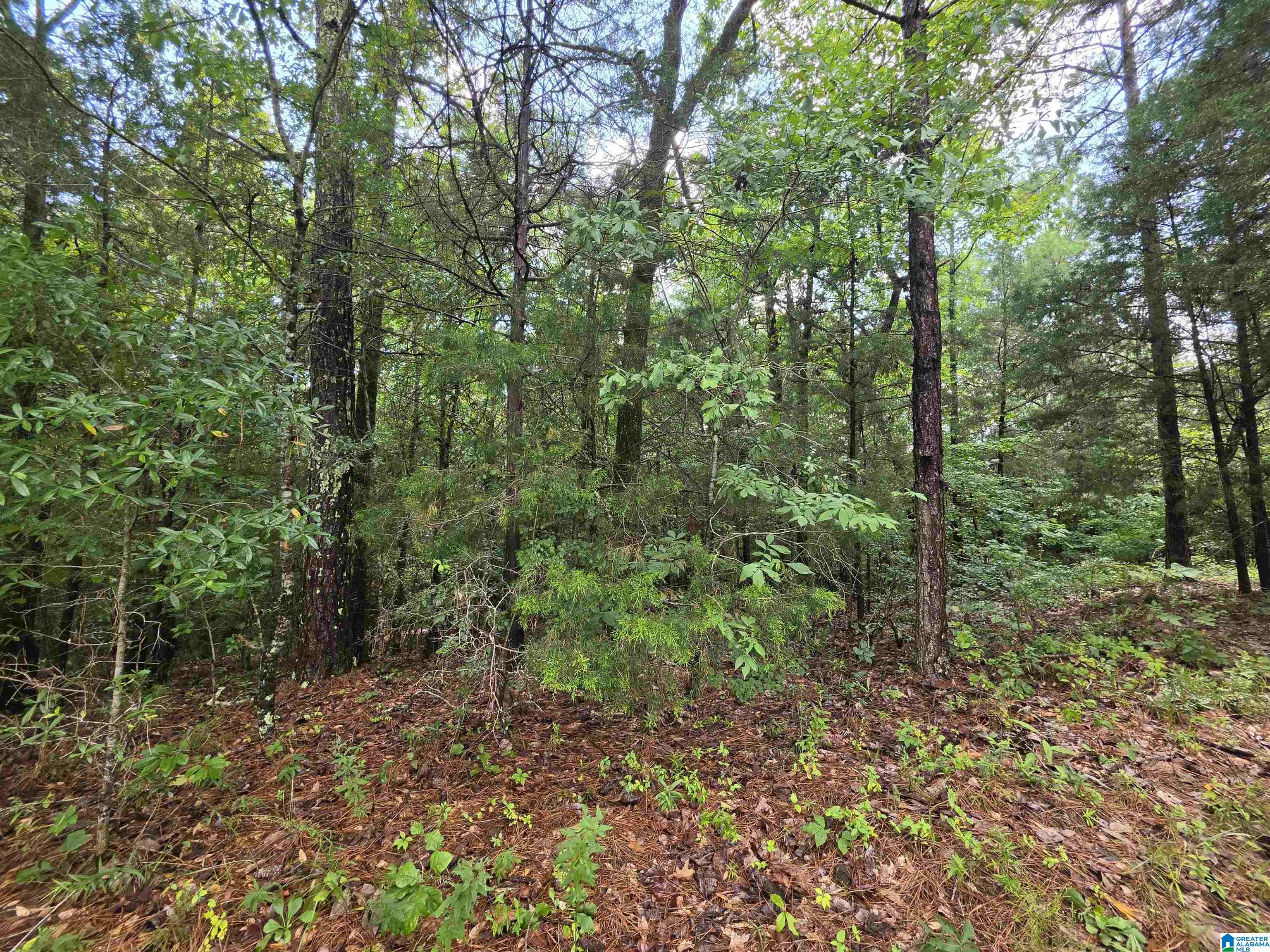 Hickory Hill Road, Unit 3 Centreville, AL 35042 - Photo 2 of 5