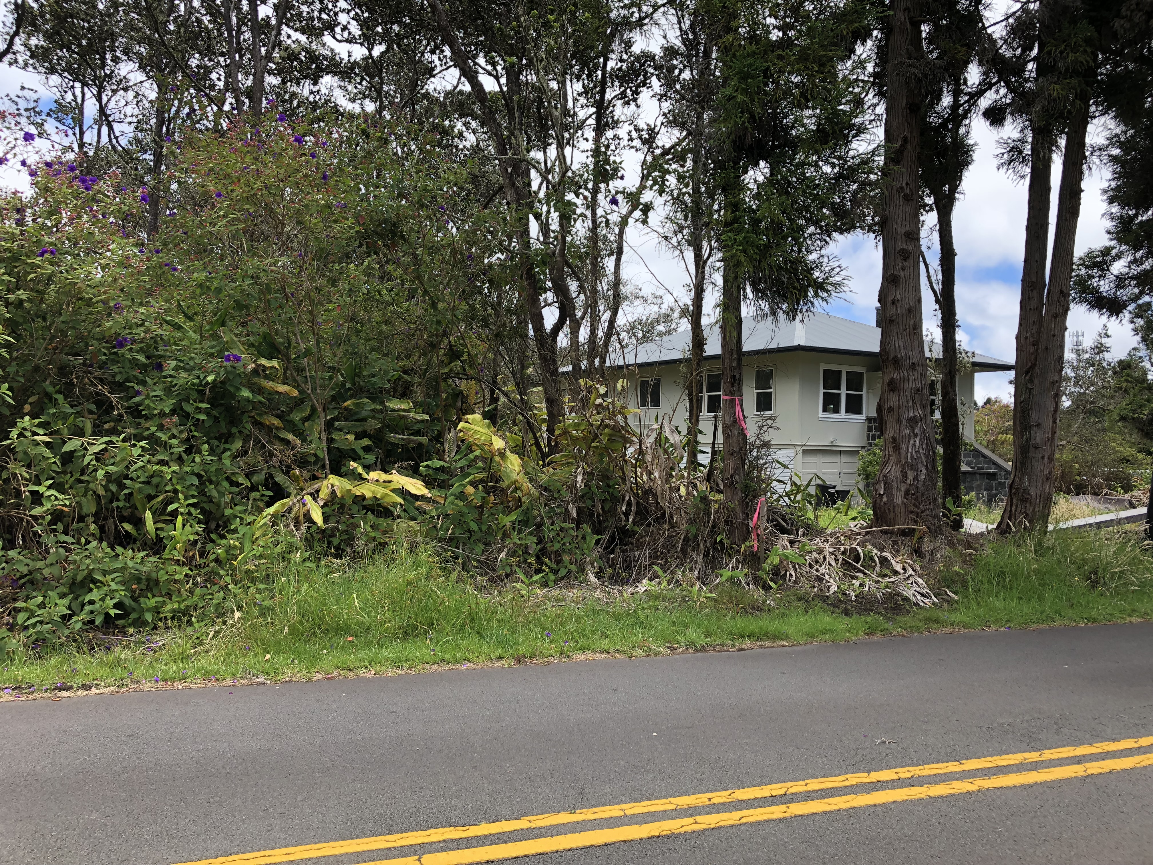 4 Haunani Road Volcano, HI 96785 - Photo 3 of 7 a view of a yard plants and palm trees