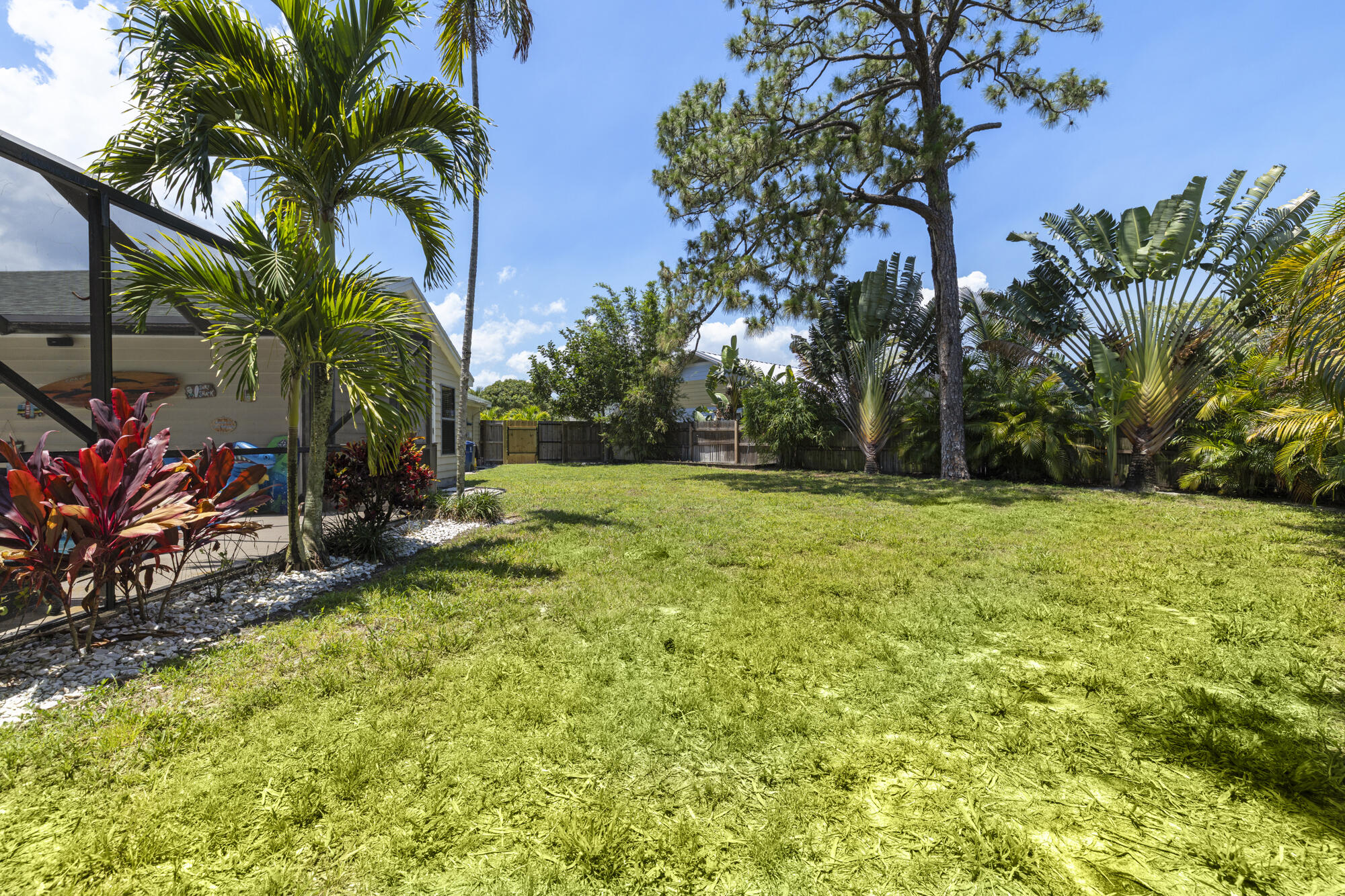 591 Kriss Lane Jupiter, FL 33458 - Photo 29 of 36 a view of a yard with a tree