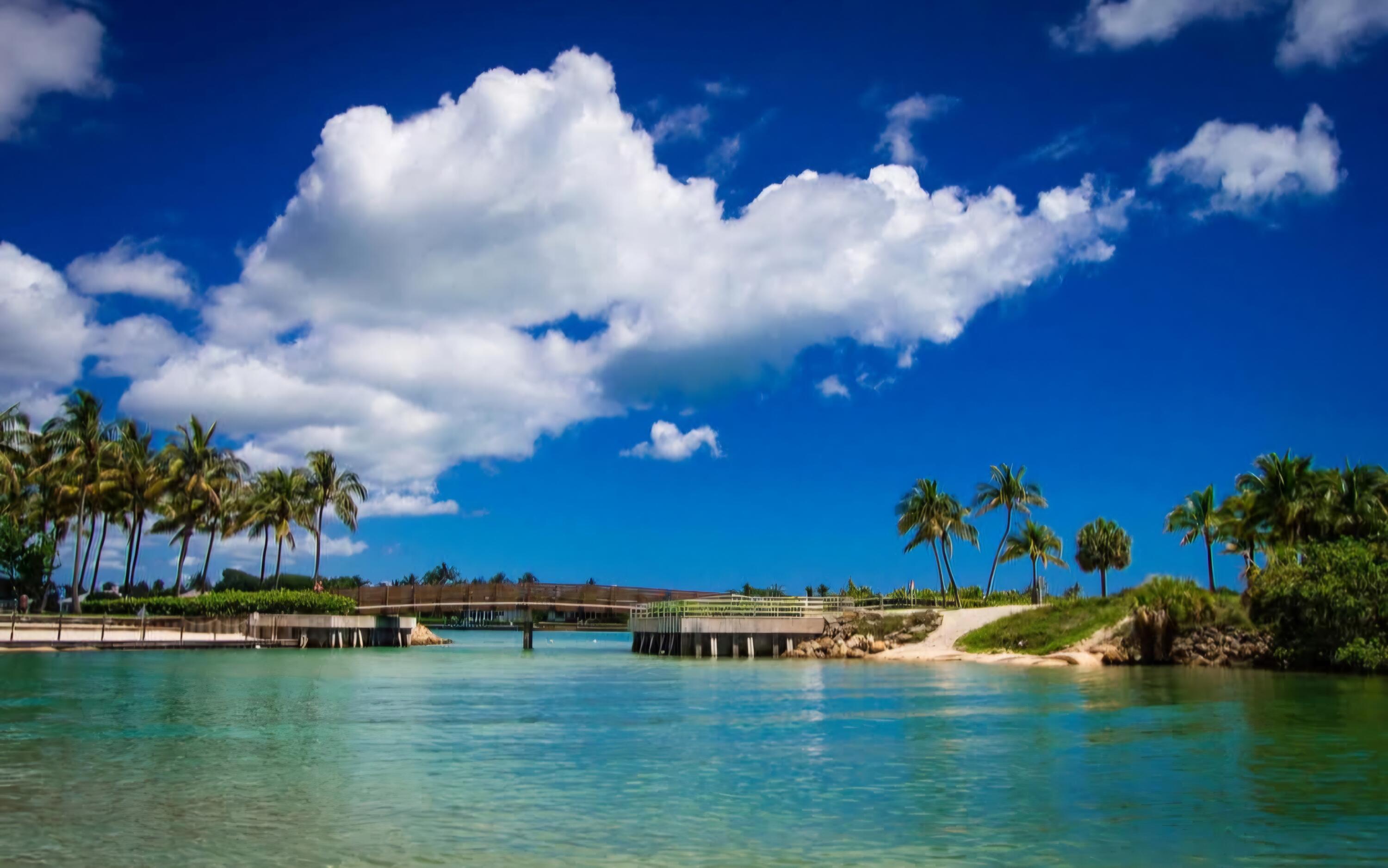 591 Kriss Lane Jupiter, FL 33458 - Photo 33 of 36 a view of a lake