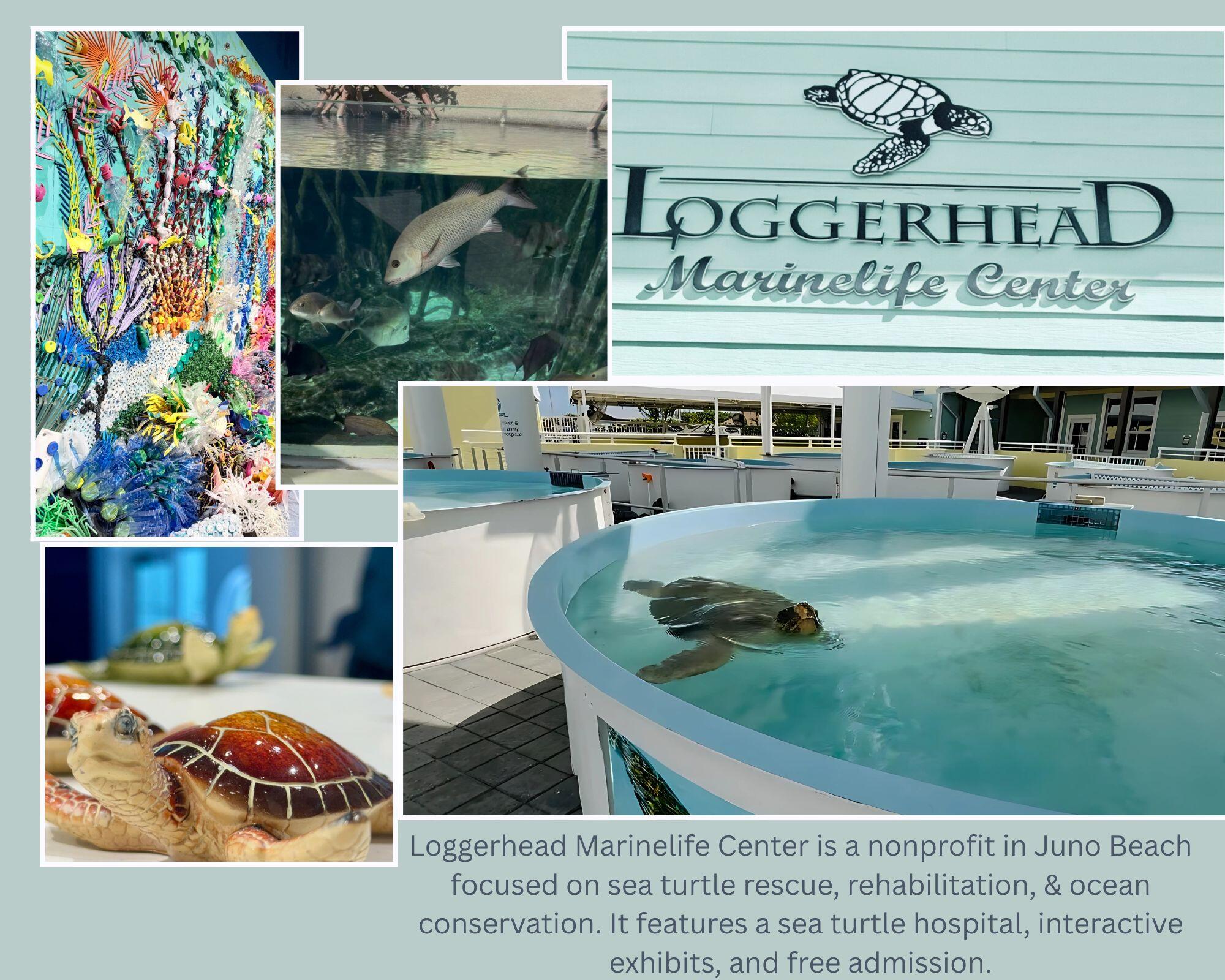 591 Kriss Lane Jupiter, FL 33458 - Photo 36 of 36 a view of a chairs and table in a patio