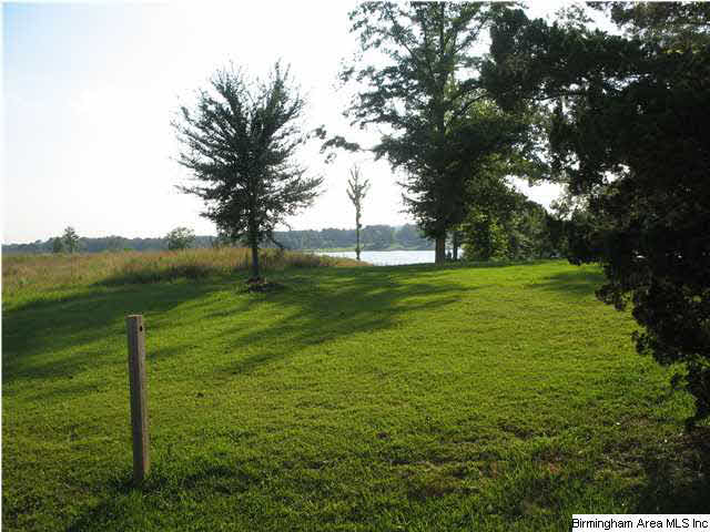 Turner Road, Unit 1 Pell City, AL 35128 - Photo 2 of 7