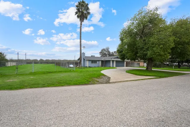a view of a park with plants
