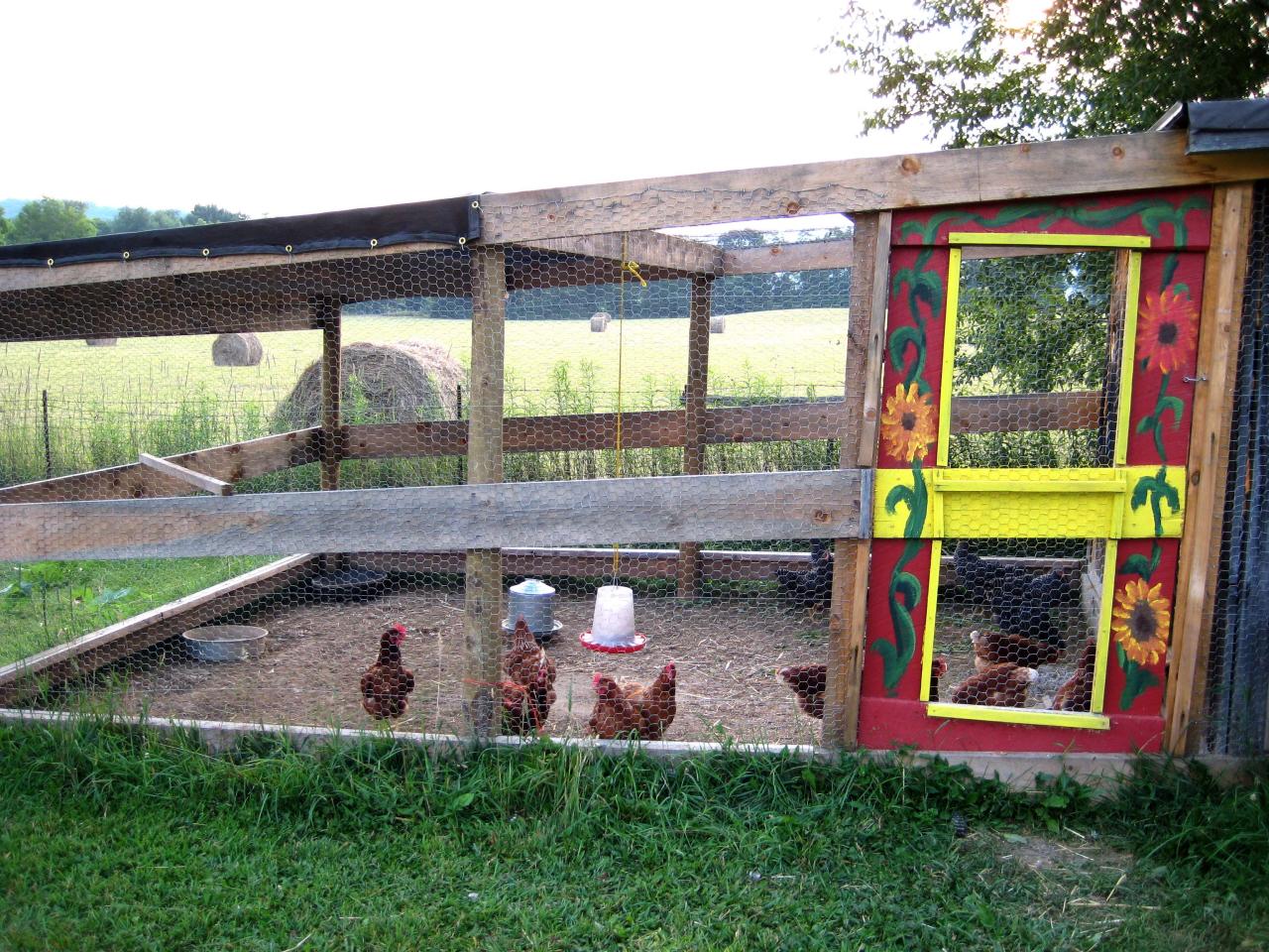 North Fork Road Arbovale, WV 24915 - Photo 15 of 37 Chicken coop