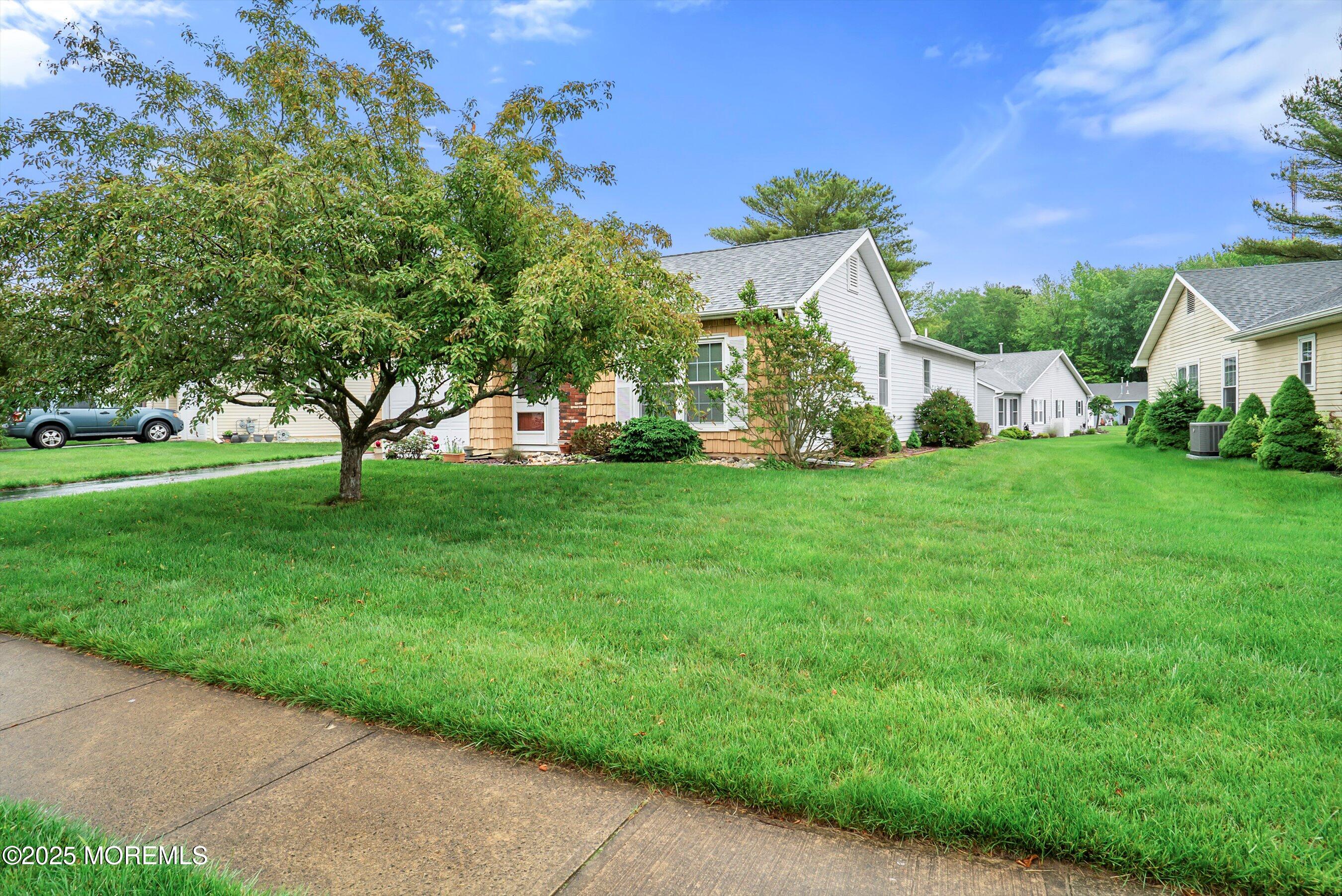 a view of a park with a house in the background