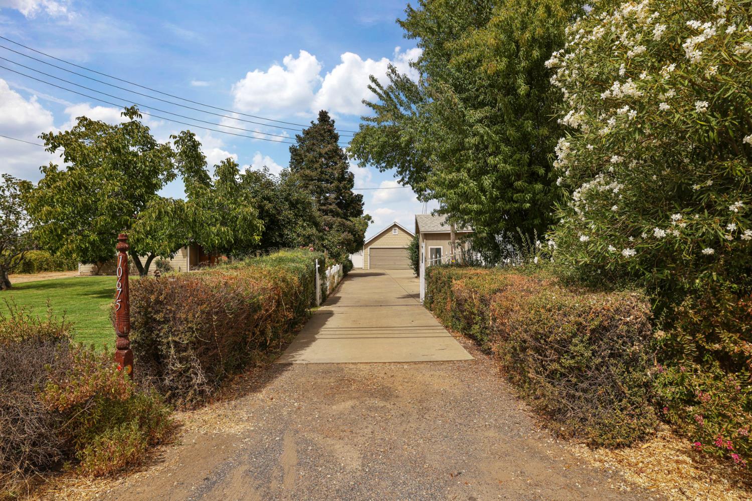10675 East Peltier Road Acampo, CA 95220 - Photo 4 of 73 Gallery Image 4