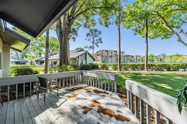 a view of backyard with outdoor seating and plants