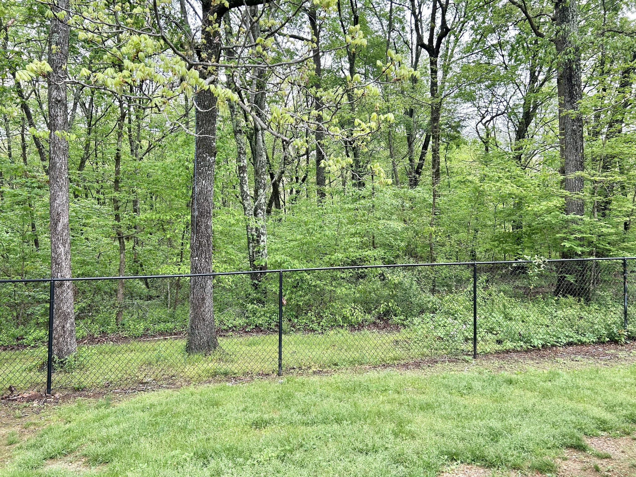 403 Bryan Boulevard Manchester, TN 37355 - Photo 43 of 44