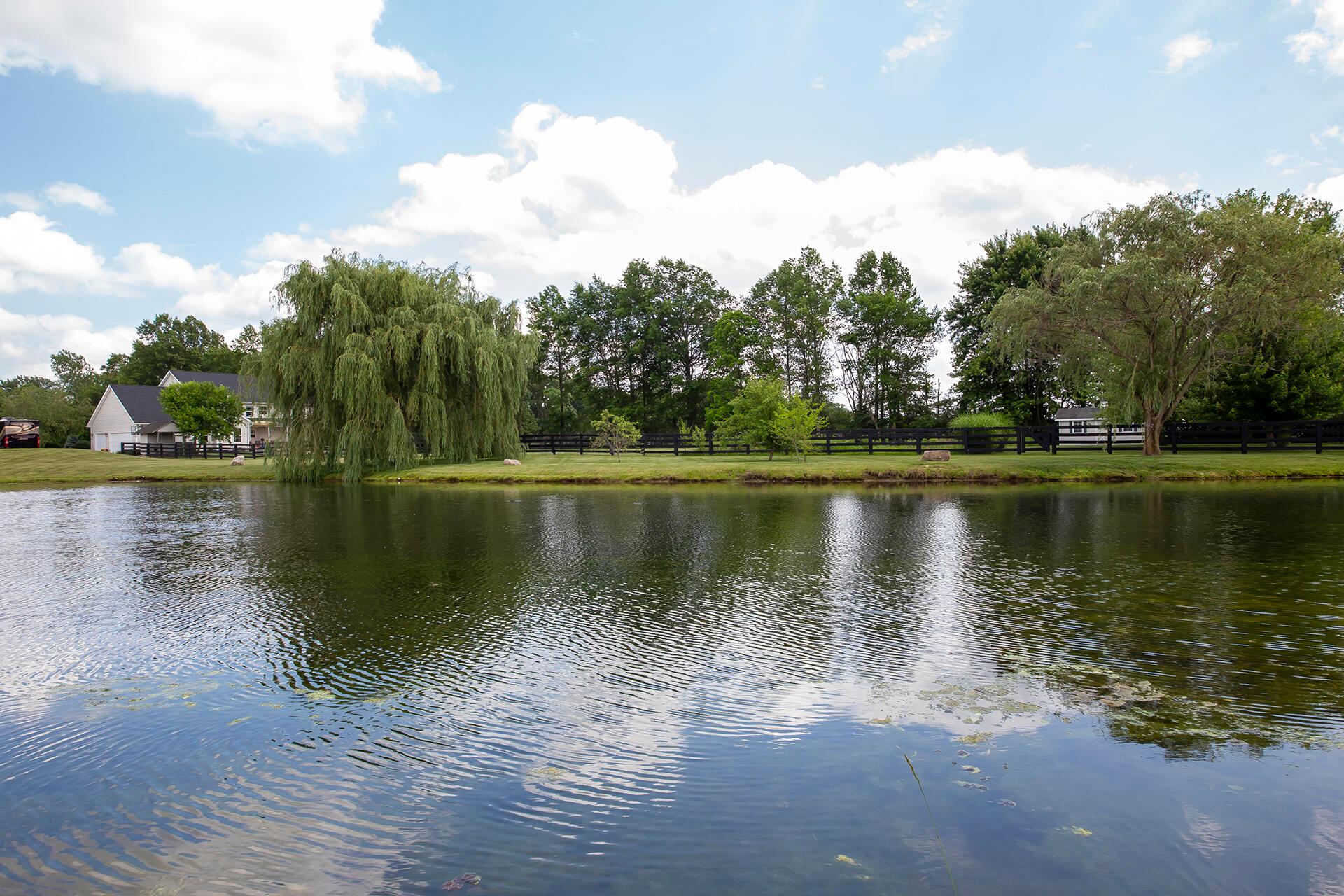 1176 Dale Ford Road Delaware, OH 43015 - Photo 64 of 77 64 Pond
