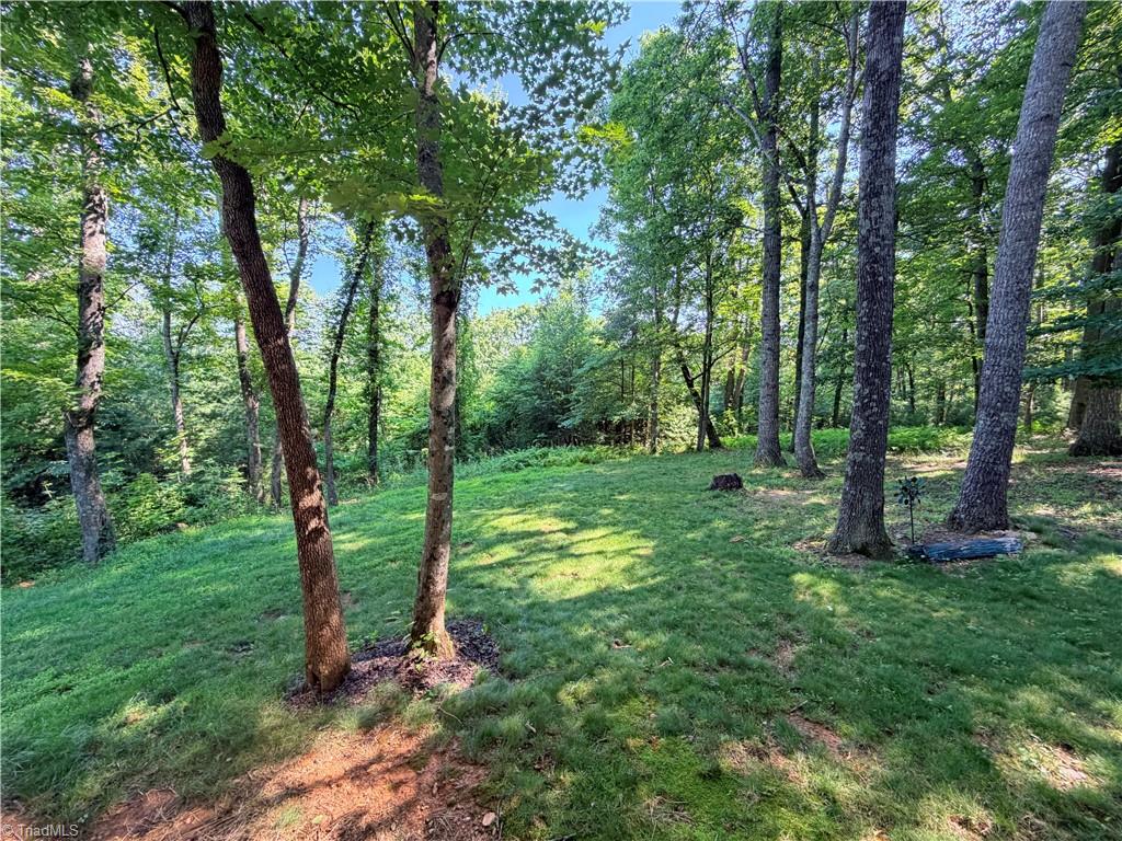 74 Forest Lane Ennice, NC 28623 - Photo 8 of 29