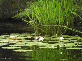 $2,800 | 22942 Ann Miller Road, Unit 111, Panama City Beach, FL 32413