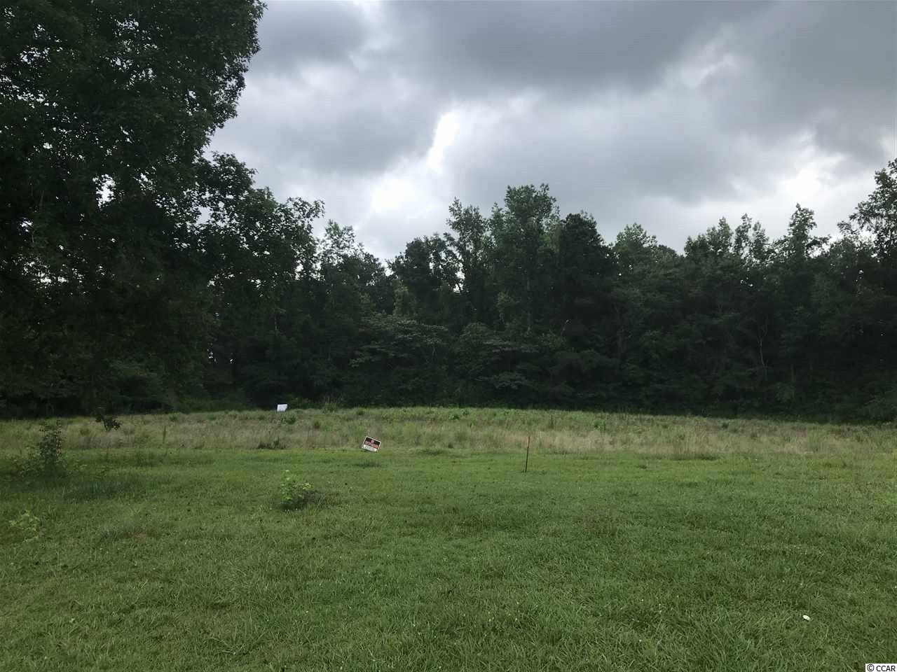 Tbd South Branch Road Loris, SC 29569 - Photo 1 of 4 Gallery Image 1