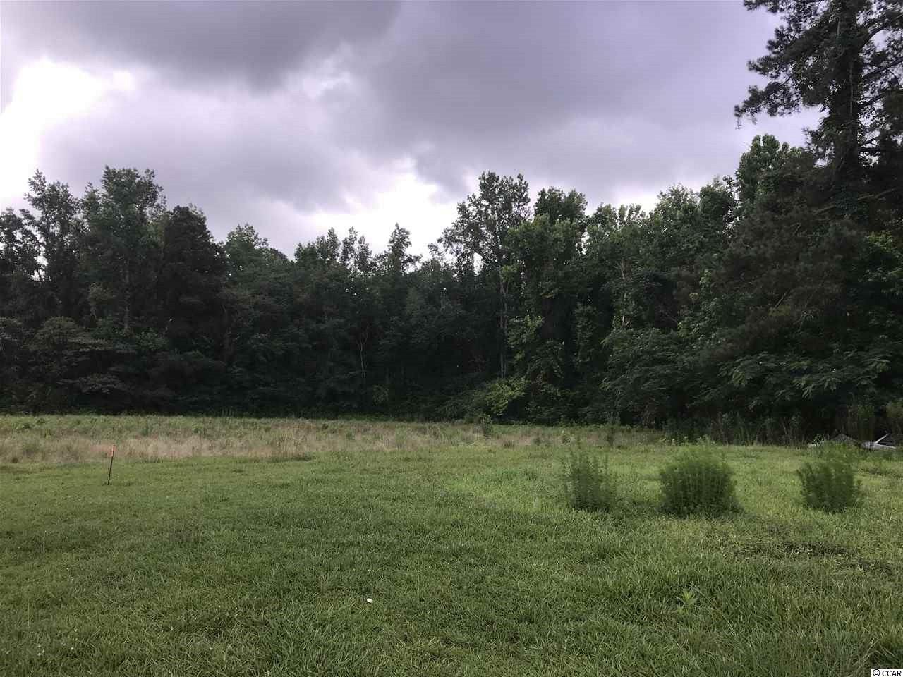 Tbd South Branch Road Loris, SC 29569 - Photo 2 of 4 Gallery Image 2