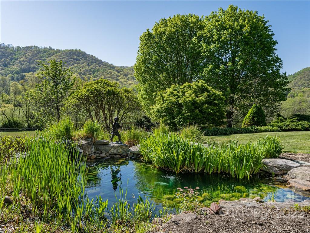 1030 Cane Creek Road Fletcher, NC 28732 - Photo 23 of 48 a view of a garden with a lake