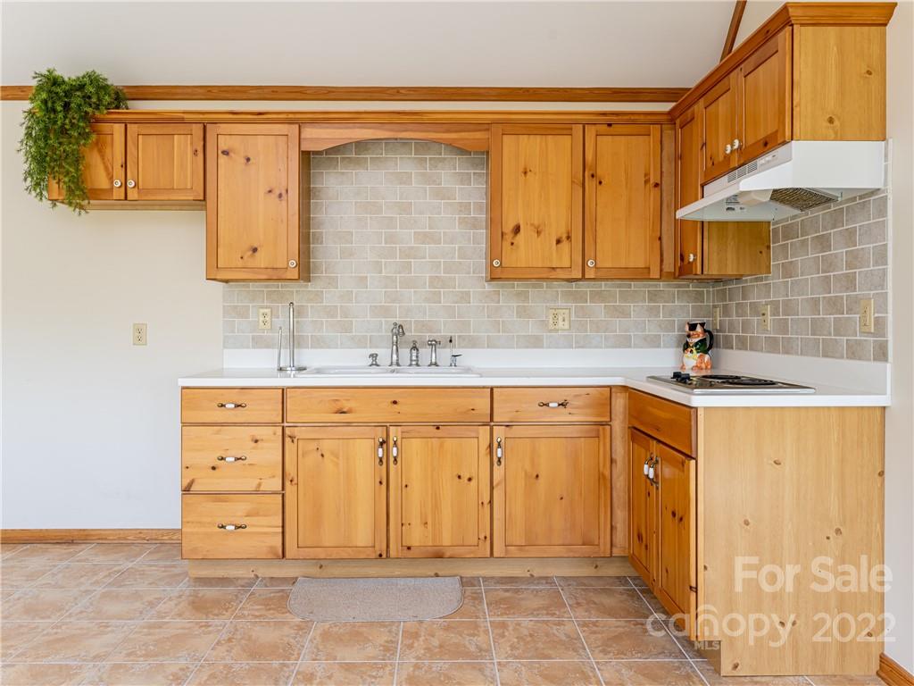 1030 Cane Creek Road Fletcher, NC 28732 - Photo 28 of 48 a bathroom with a sink a vanity and a mirror