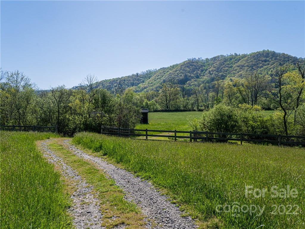 1030 Cane Creek Road Fletcher, NC 28732 - Photo 41 of 48 a view of a back yard