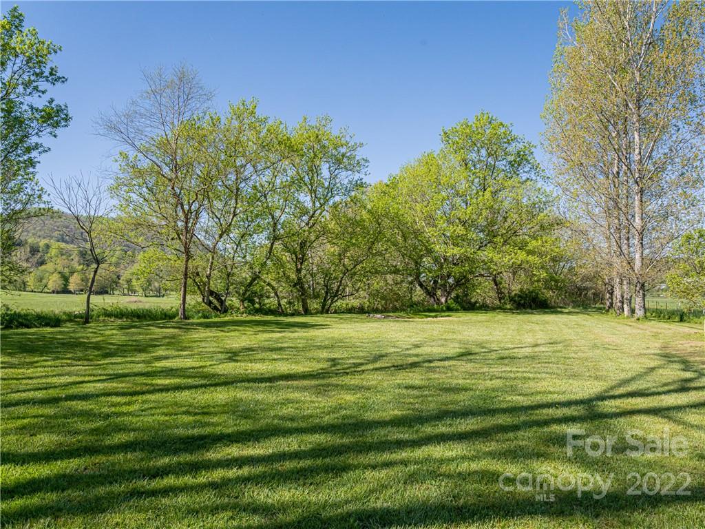 1030 Cane Creek Road Fletcher, NC 28732 - Photo 42 of 48 a big yard with lots of green space and trees in the background