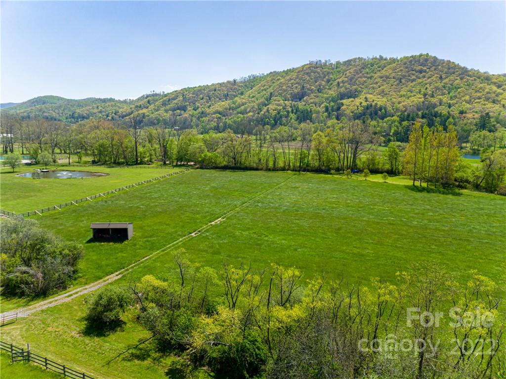 1030 Cane Creek Road Fletcher, NC 28732 - Photo 45 of 48 a view of an outdoor space and a yard