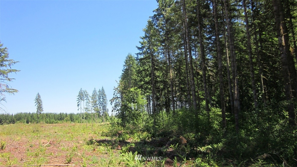 -xxx Allman Road Winlock, WA 98596 - Photo 22 of 25