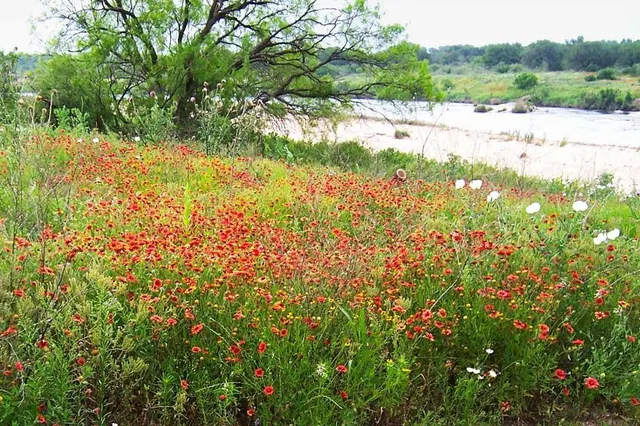 $1,659,000 | Settemeyer Road Settemeyer Road, Mason, TX 76856