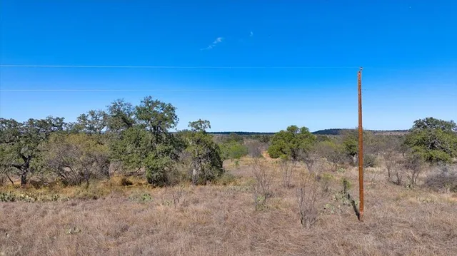 a view of a dry yard with trees in the background