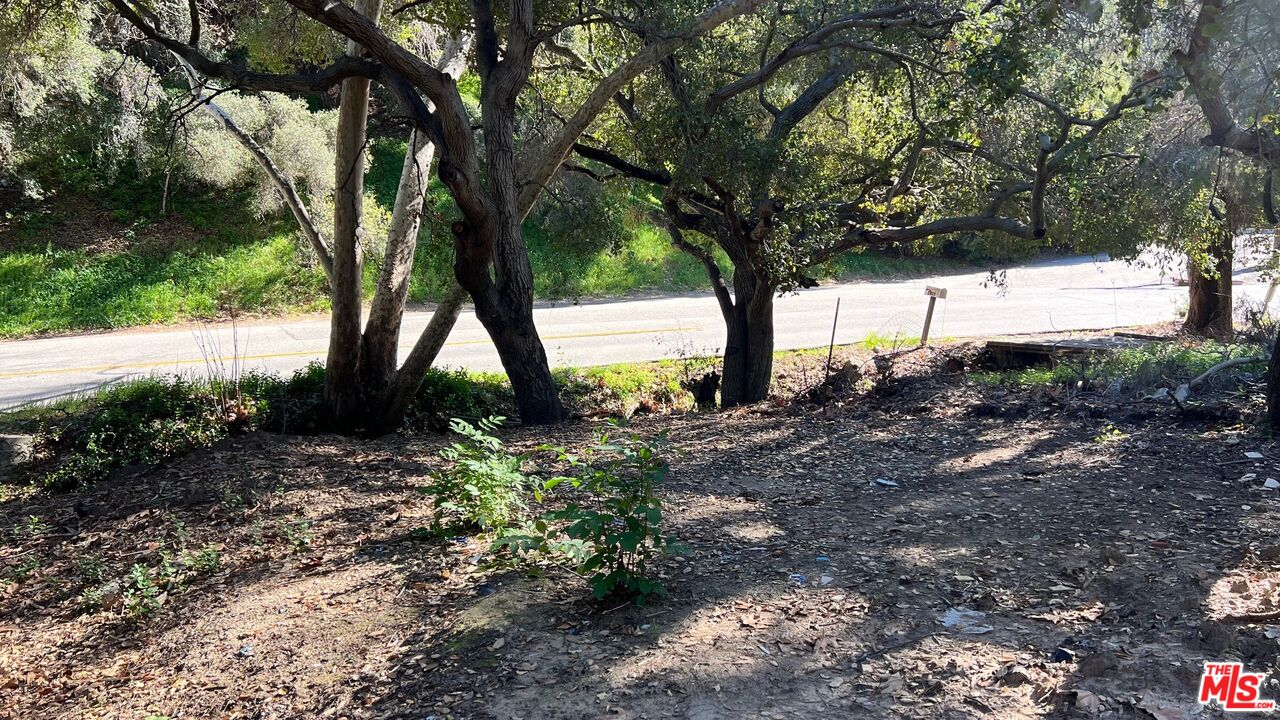 3485 Old Topanga Canyon Road Calabasas, CA 91302 - Photo 4 of 17 a view of a backyard
